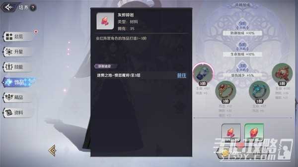 《纳萨力克之王》新手向玩法机制解析