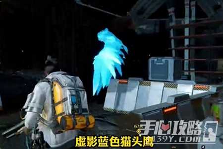 星球重启蓝色猫头鹰虚影宝箱位置介绍