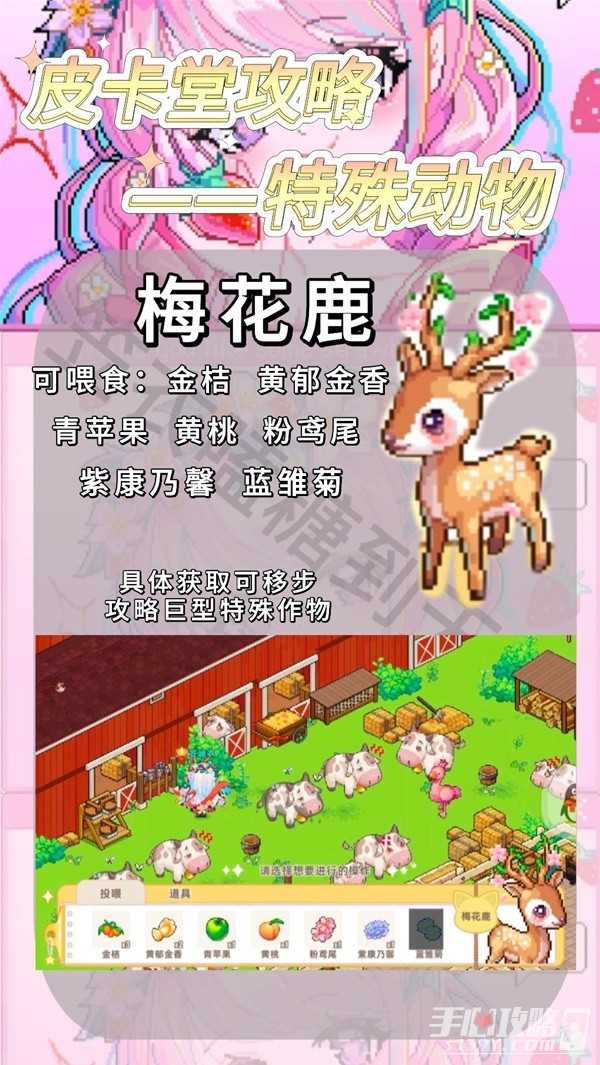 《皮卡堂之梦想起源》特殊动物可投喂食物一览