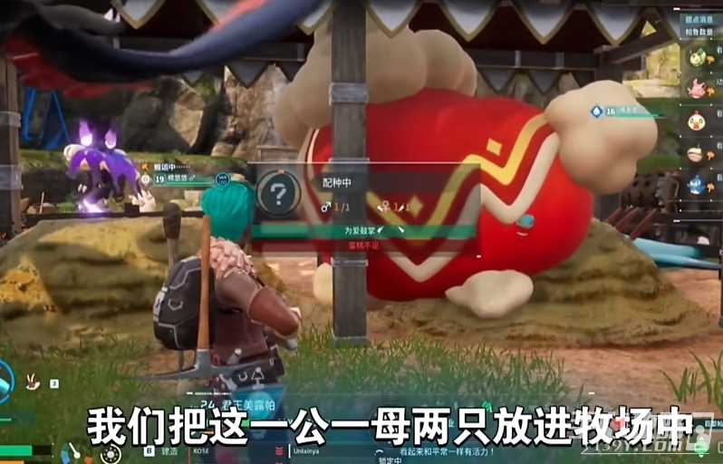《幻兽帕鲁》阿努比斯获得方法
