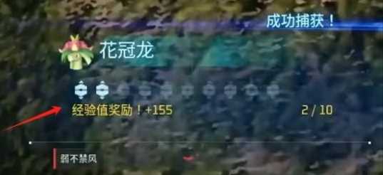 《幻兽帕鲁》捕捉奖励获得方法