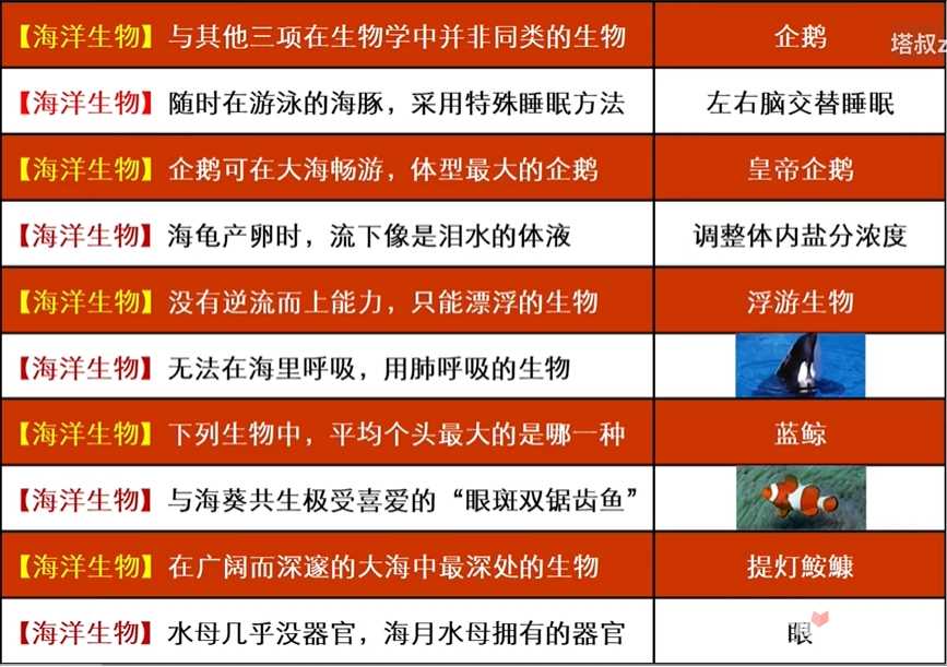 《如龙8太鼓岛》海洋生物博士答案