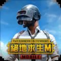 地铁逃生pubg安装