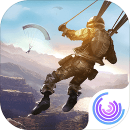 光荣使命军用版正版