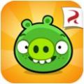 bad piggies