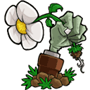 植物大战僵尸lz重制版
