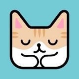 猫猫睡觉觉