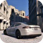 特斯拉驾驶模器