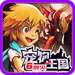 宠物王国6烈火自带按键版