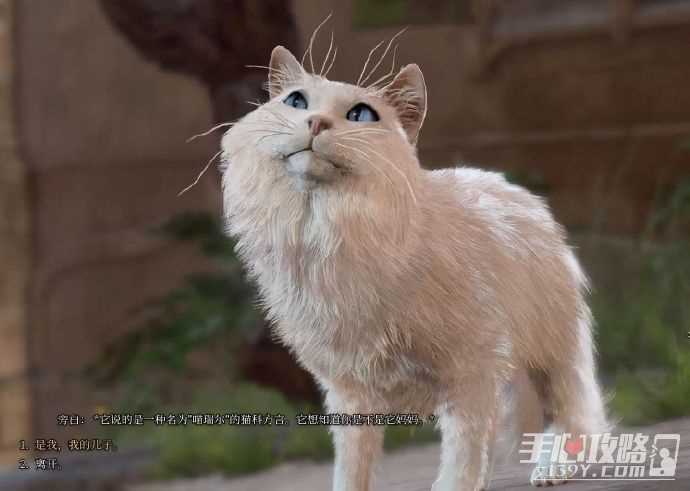 《博德之门3》猫宠获取攻略