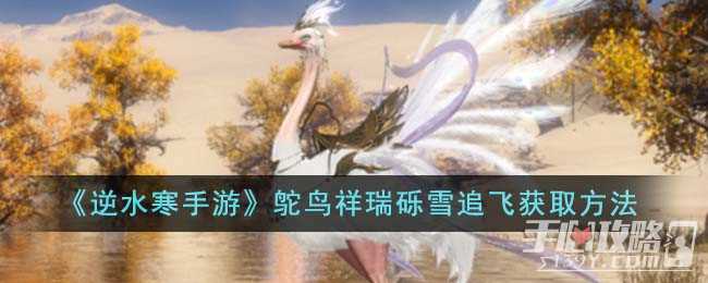 《逆水寒手游》鸵鸟祥瑞砾雪追飞获取方法