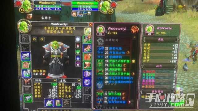 《魔兽世界》怀旧服Plus萨满T玩法攻略