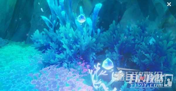 《原神》初露之源位置及收集路线介绍