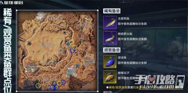 《星球重启》观赏鱼获得方法