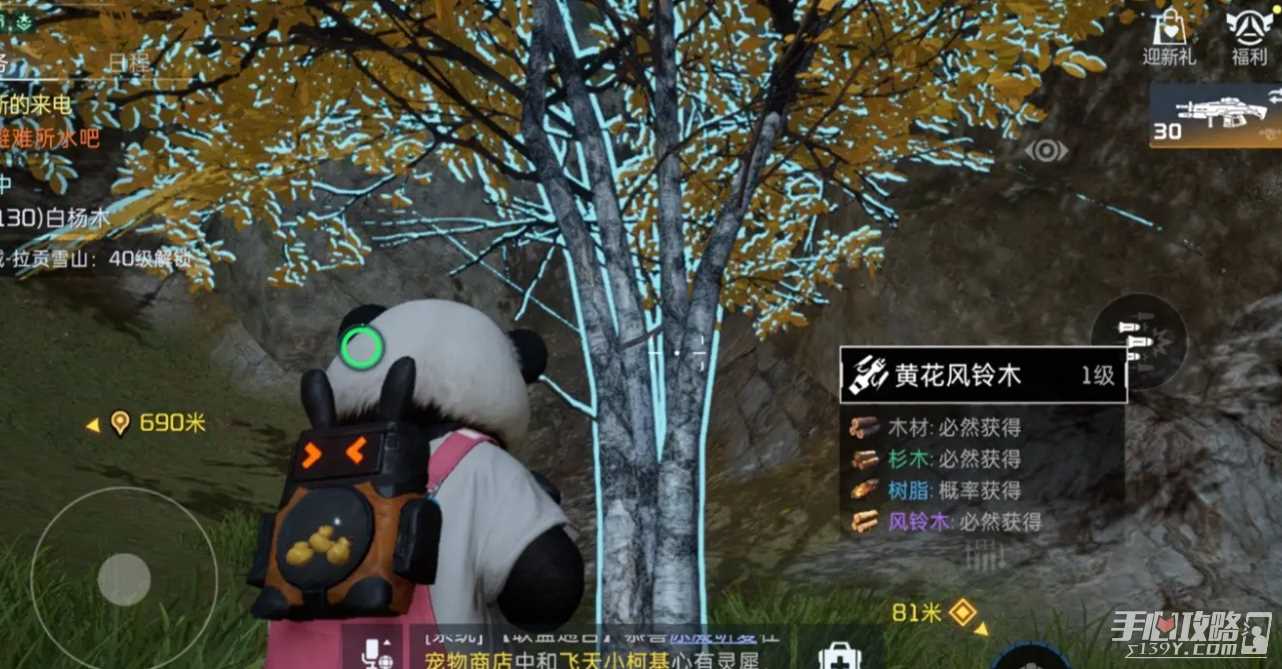 《星球重启》黄花风铃木位置一览