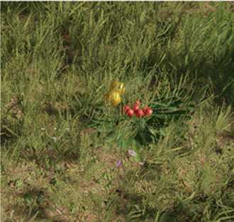 《星球重启》雪花和糖果在哪找