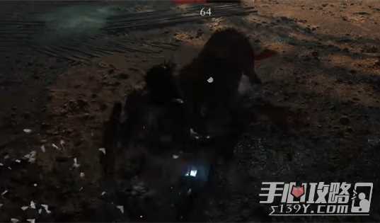 《堕落之主》谁是猎犬女主人攻略