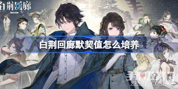 《白荆回廊》默契值培养攻略