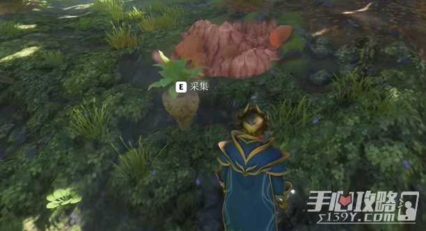 《雾锁王国》森林甜菜获得方法