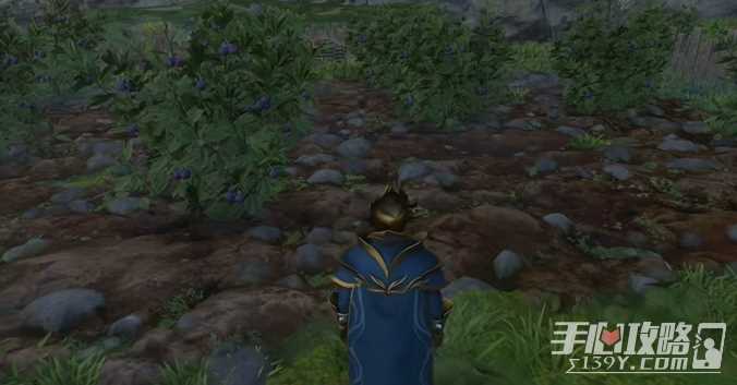《雾锁王国》紫色浆果获得方法