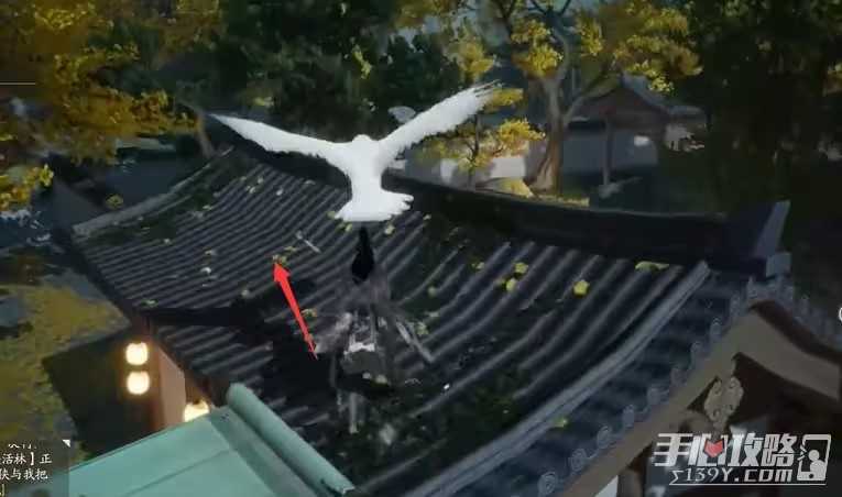 《射雕》东肆梦华录鹭羽收集攻略